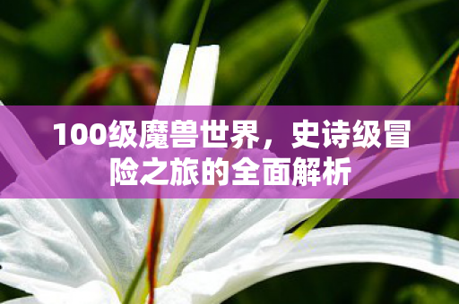 100级魔兽世界，史诗级冒险之旅的全面解析