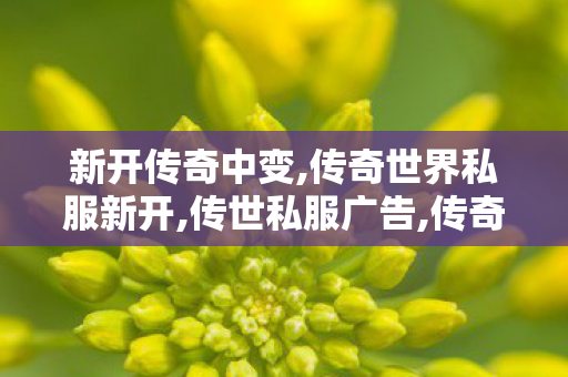 新开传奇中变,传奇世界私服新开,传世私服广告,传奇世界私服新开