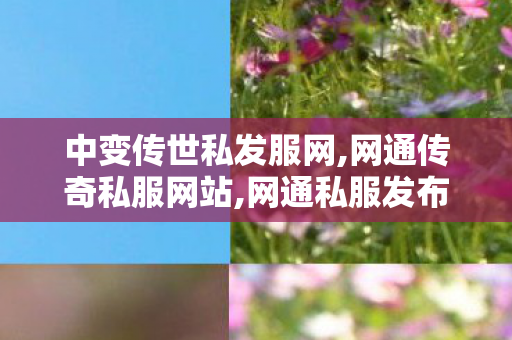 中变传世私发服网,网通传奇私服网站,网通私服发布网,网通传奇私服网站