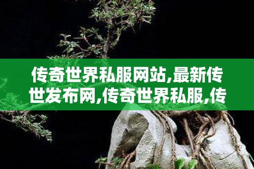 传奇世界私服网站,最新传世发布网,传奇世界私服,传世最新私服,最新传世发布网