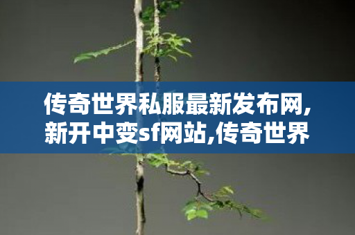 传奇世界私服最新发布网,新开中变sf网站,传奇世界战神复古,新开中变sf网站
