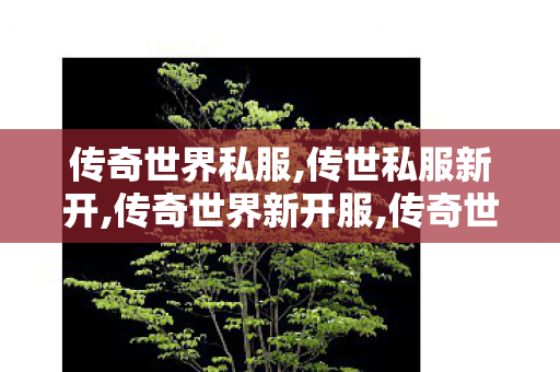 传奇世界私服,传世私服新开,传奇世界新开服,传奇世界私服网站发布网,传奇世界新开服