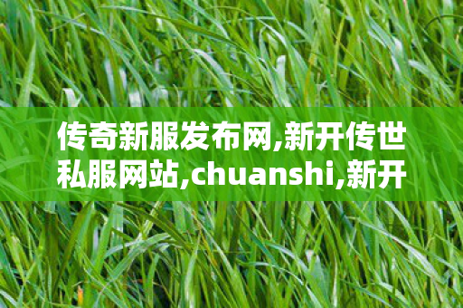 传奇新服发布网,新开传世私服网站,chuanshi,新开传世私服网站