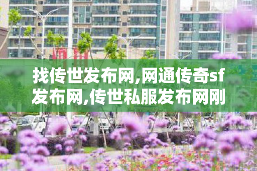 找传世发布网,网通传奇sf发布网,传世私服发布网刚开一秒,网通传奇sf发布网