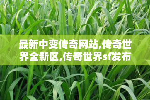 最新中变传奇网站,传奇世界全新区,传奇世界sf发布网,传奇世界全新区