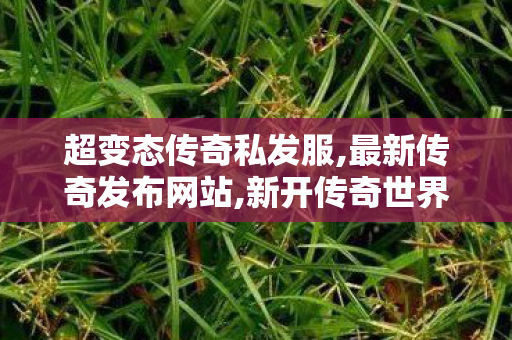 超变态传奇私发服,最新传奇发布网站,新开传奇世界私服,最新传奇发布网站