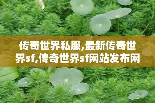 传奇世界私服,最新传奇世界sf,传奇世界sf网站发布网,最新传世私服,传奇世界sf网站发布网