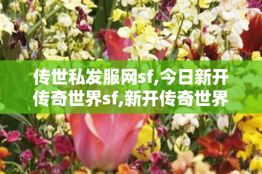 传世私发服网sf,今日新开传奇世界sf,新开传奇世界私服sf,今日新开传奇世界sf