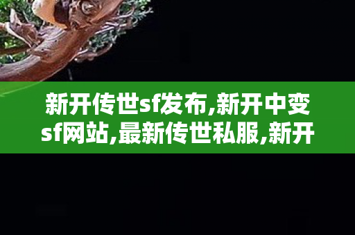 新开传世sf发布,新开中变sf网站,最新传世私服,新开中变sf网站