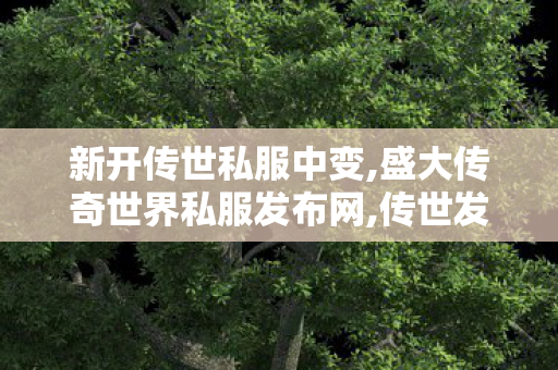 新开传世私服中变,盛大传奇世界私服发布网,传世发布网,盛大传奇世界私服发布网