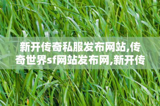 新开传奇私服发布网站,传奇世界sf网站发布网,新开传世网站,传奇世界sf网站发布网
