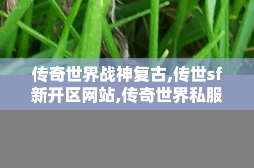 传奇世界战神复古,传世sf新开区网站,传奇世界私服,传世sf网站,传世sf新开区网站