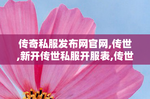 传奇私服发布网官网,传世,新开传世私服开服表,传世