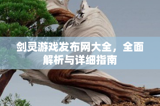 剑灵游戏发布网大全，全面解析与详细指南