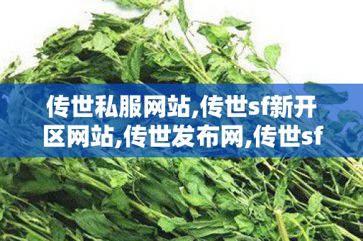 传世私服网站,传世sf新开区网站,传世发布网,传世sf新开区网站