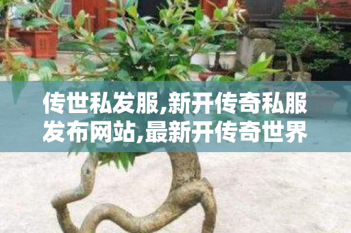 传世私发服,新开传奇私服发布网站,最新开传奇世界私服,新开传奇私服发布网站