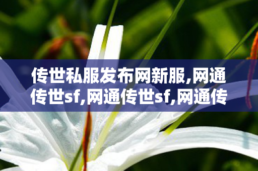 传世私服发布网新服,网通传世sf,网通传世sf,网通传世sf