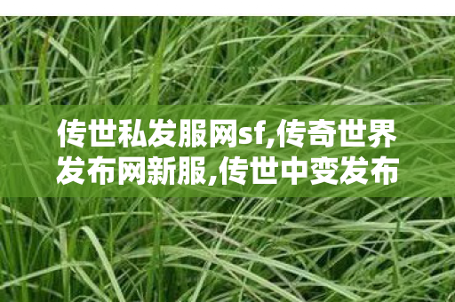 传世私发服网sf,传奇世界发布网新服,传世中变发布网,传奇世界发布网新服