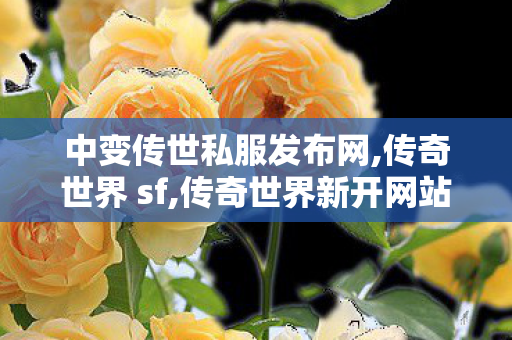 中变传世私服发布网,传奇世界 sf,传奇世界新开网站服,传奇世界 sf