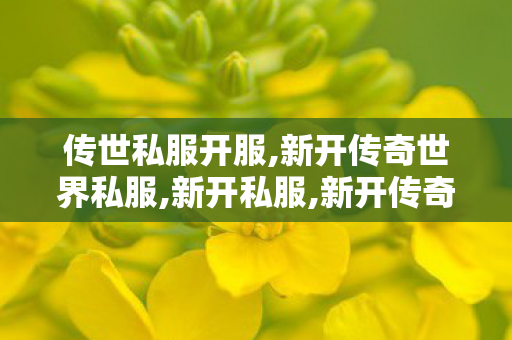 传世私服开服,新开传奇世界私服,新开私服,新开传奇世界私服