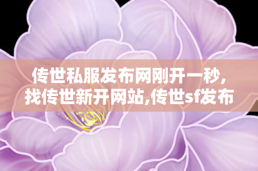 传世私服发布网刚开一秒,找传世新开网站,传世sf发布网,找传世新开网站