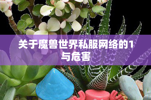 关于魔兽世界私服网络的1与危害