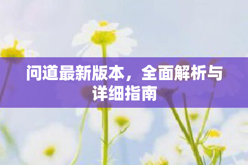 问道最新版本，全面解析与详细指南