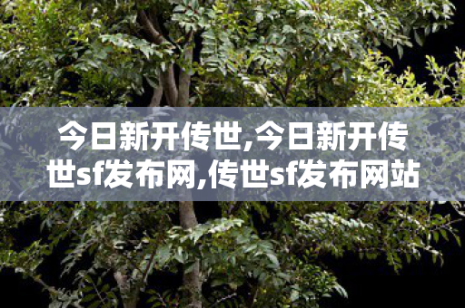 今日新开传世,今日新开传世sf发布网,传世sf发布网站,今日新开传世sf发布网
