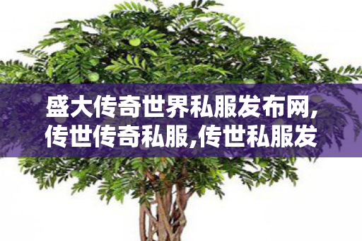 盛大传奇世界私服发布网,传世传奇私服,传世私服发布网,传世传奇私服