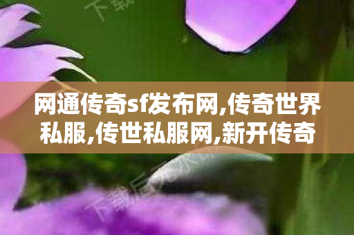 网通传奇sf发布网,传奇世界私服,传世私服网,新开传奇世界sf网站,传奇世界私服,传世私服网