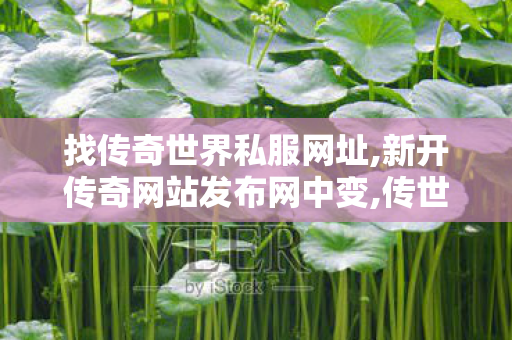 找传奇世界私服网址,新开传奇网站发布网中变,传世私服服务端,新开传奇网站发布网中变