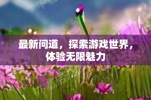 最新问道，探索游戏世界，体验无限魅力