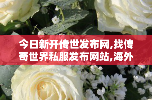 今日新开传世发布网,找传奇世界私服发布网站,海外传奇世界私服,找传奇世界私服发布网站