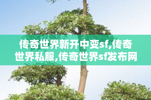 传奇世界新开中变sf,传奇世界私服,传奇世界sf发布网站,传奇世界私服
