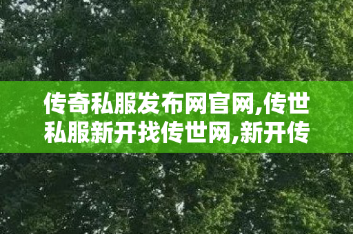 传奇私服发布网官网,传世私服新开找传世网,新开传世私服网,传世私服新开找传世网