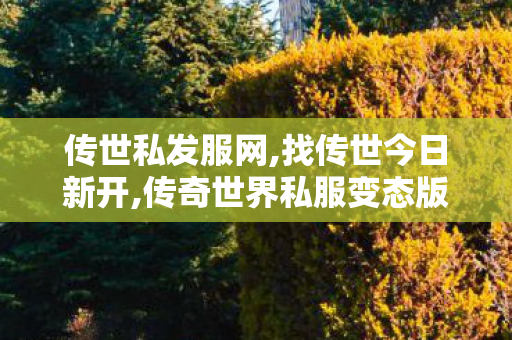 传世私发服网,找传世今日新开,传奇世界私服变态版,找传世今日新开