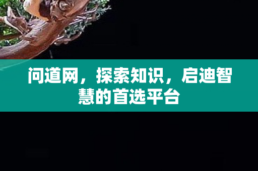 问道网，探索知识，启迪智慧的首选平台