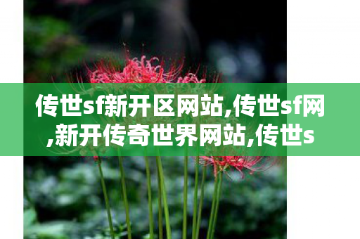 传世sf新开区网站,传世sf网,新开传奇世界网站,传世sf网