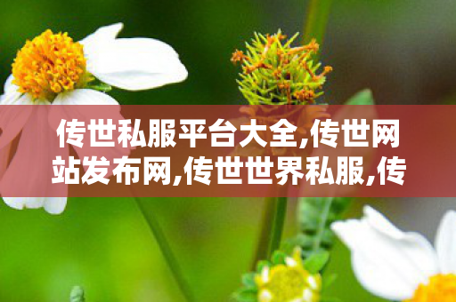 传世私服平台大全,传世网站发布网,传世世界私服,传世网站发布网