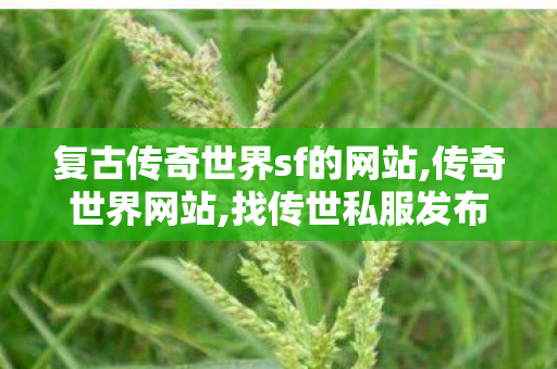 复古传奇世界sf的网站,传奇世界网站,找传世私服发布网站,传奇世界网站