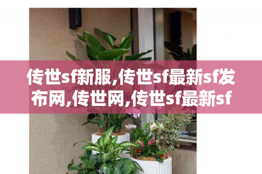 传世sf新服,传世sf最新sf发布网,传世网,传世sf最新sf发布网