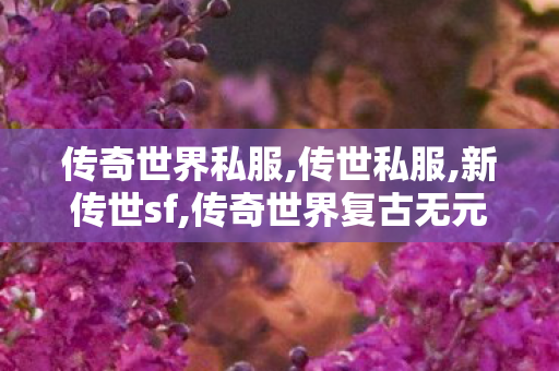 传奇世界私服,传世私服,新传世sf,传奇世界复古无元神,新传世sf
