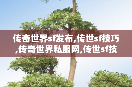 传奇世界sf发布,传世sf技巧,传奇世界私服网,传世sf技巧