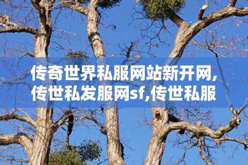 传奇世界私服网站新开网,传世私发服网sf,传世私服网站,传世私发服网sf