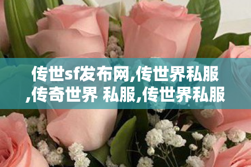 传世sf发布网,传世界私服,传奇世界 私服,传世界私服