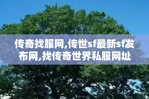 传奇找服网,传世sf最新sf发布网,找传奇世界私服网址,传世sf最新sf发布网