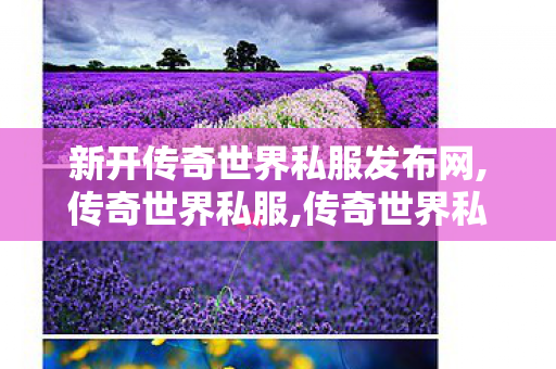 新开传奇世界私服发布网,传奇世界私服,传奇世界私服发布站,传奇世界私服