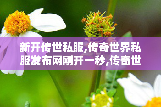 新开传世私服,传奇世界私服发布网刚开一秒,传奇世界新开服网站,传奇世界私服发布网刚开一秒