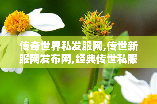 传奇世界私发服网,传世新服网发布网,经典传世私服,传世新服网发布网