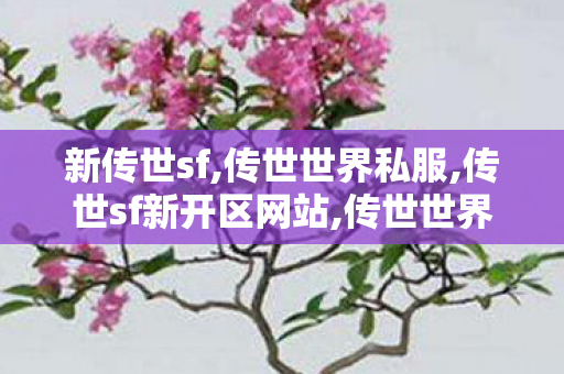 新传世sf,传世世界私服,传世sf新开区网站,传世世界私服